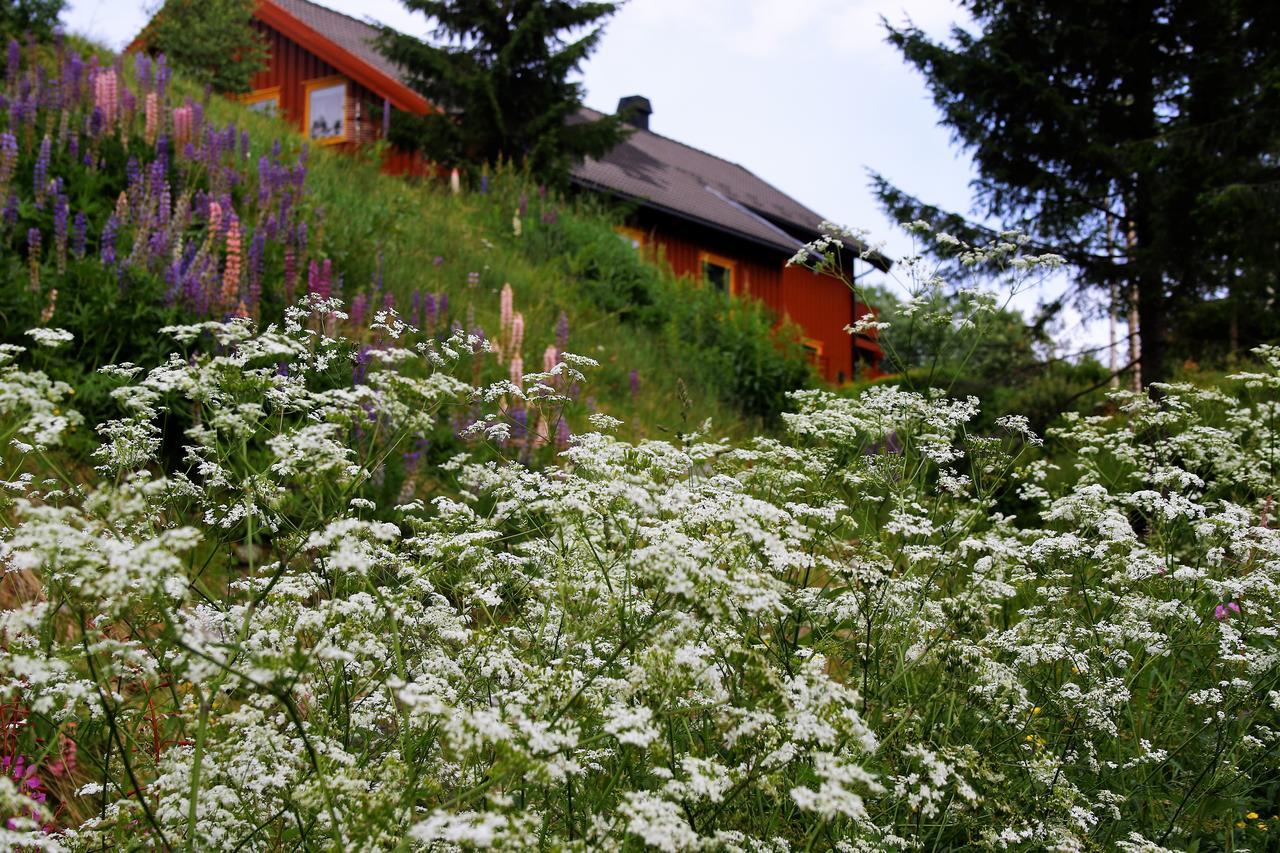 Camp Sjusjøen Hotell Mesnali Eksteriør bilde