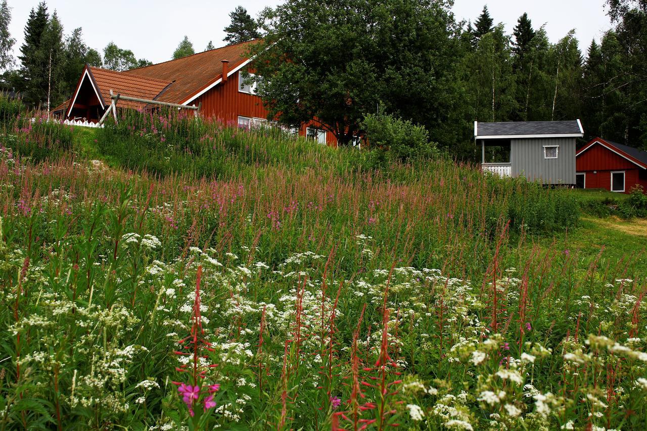 Camp Sjusjøen Hotell Mesnali Eksteriør bilde